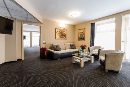 hotel *** - Hotel Wilga - zdjęcie 8