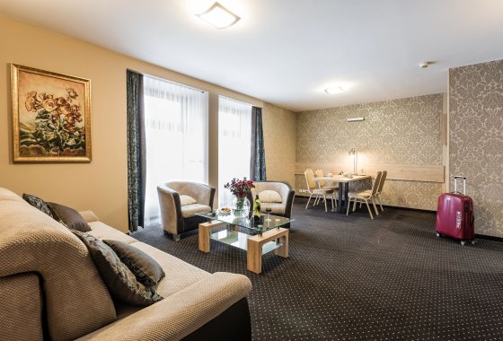 hotel *** - Hotel Wilga - Pokoje - zdjęcie 4