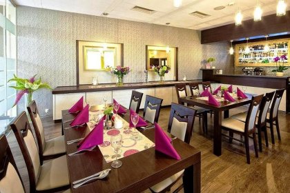 hotel *** - Hotel Wilga - zdjęcie 12