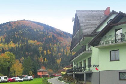 hotel *** - Hotel  Zimnik - zdjęcie 2