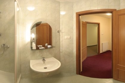 hotel *** - Hotel  Zimnik - zdjęcie 3