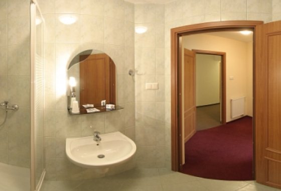 hotel *** - Hotel  Zimnik - Pokoje - zdjęcie 1