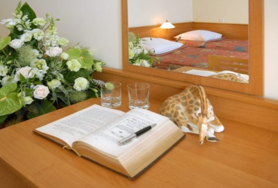 hotel *** - Hotel DOM ERAZMA przy pałacu Villa Decius - Pokoje - zdjęcie 5