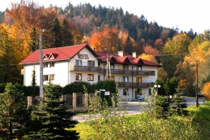 hotel - Hotel Orzeł Biały *** - zdjęcie 7