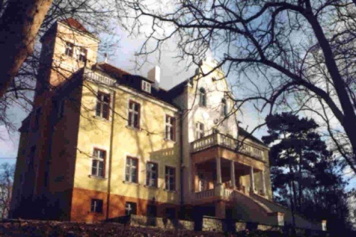Pałac Witosław