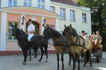 obiekt konferencyjny - Pałac Witosław - zdjęcie 7