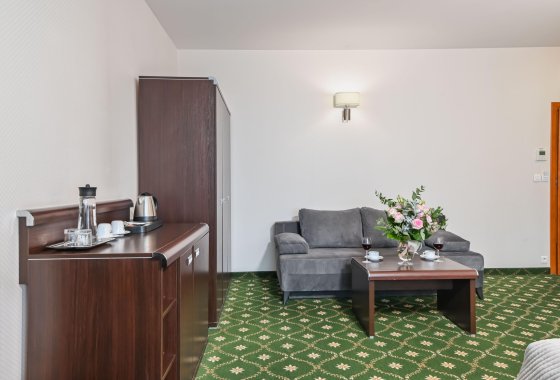 hotel **** - Hotel SPA Faltom Gdynia - Rumia **** - Pokoje - zdjęcie 12