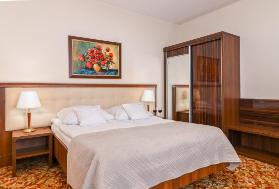 hotel **** - Hotel SPA Faltom Gdynia - Rumia **** - Pokoje - zdjęcie 10