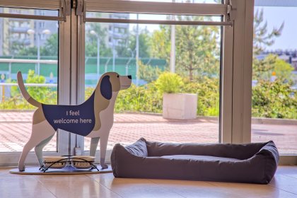 hotel **** - Novotel Katowice Centrum - zdjęcie 11
