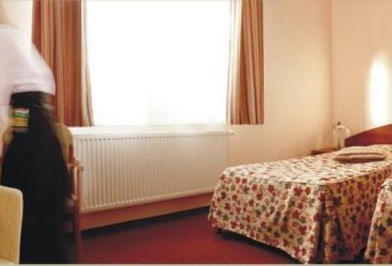 hotel *** - Zajazd „Pod Wierzbą” - Pokoje - zdjęcie 2