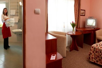 hotel *** - Zajazd „Pod Wierzbą” - zdjęcie 8