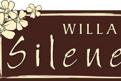 pensjonat - Willa SILENE - zdjęcie 5