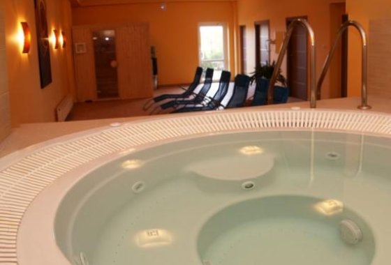 hotel *** - ALBATROS *** SPA & SKI - Usługi - zdjęcie 5