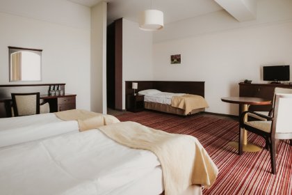 hotel *** - Hotel Radocza Park - zdjęcie 7