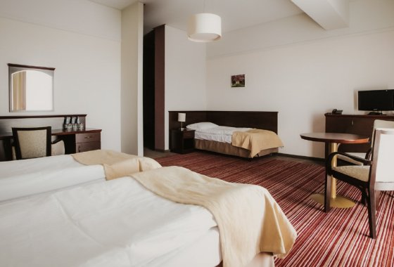 hotel *** - Hotel Radocza Park - Pokoje - zdjęcie 2