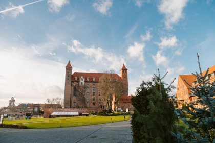 zamek - Hotel Zamek Gniew - zdjęcie 3
