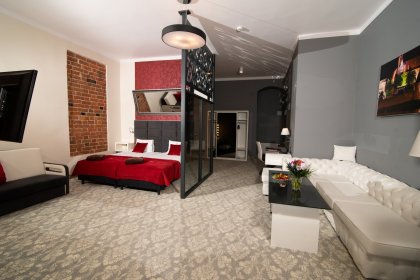zamek - Hotel Zamek Gniew - zdjęcie 23
