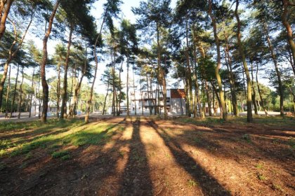 hotel *** - Hotel Grzegorzewski - zdjęcie 3