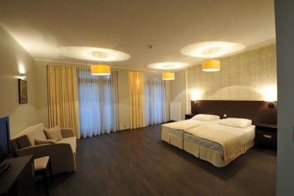 hotel *** - Hotel Grzegorzewski - zdjęcie 10