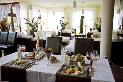 hotel *** - Hotel Willa Piast Spa & Wellness*** - zdjęcie 3
