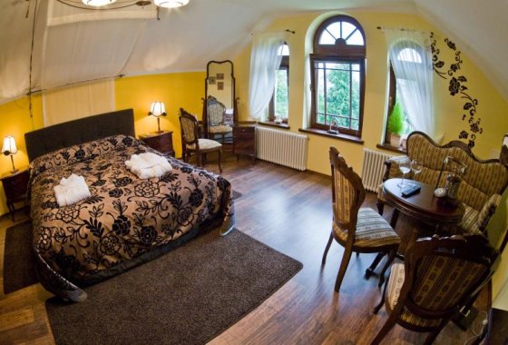 hotel *** - Hotel Willa Piast Spa & Wellness*** - Pokoje - zdjęcie 2