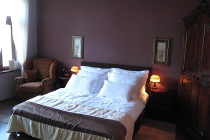 hotel *** - Hotel Willa Piast Spa & Wellness*** - zdjęcie 9