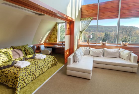 hotel **** - Młyn Jacka Hotel & SPA - Pokoje - zdjęcie 10