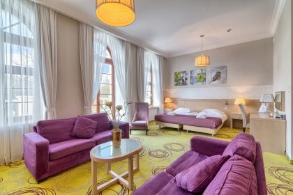 Pałac Hanza-apartament-  SaleBiznesowe.pl