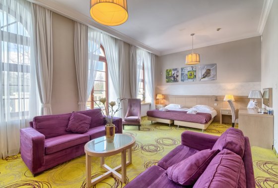 Pałac Hanza-apartament-  SaleBiznesowe.pl