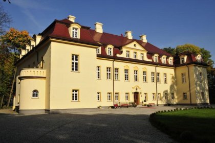 pałac - Pałac Izbicko - zdjęcie 1