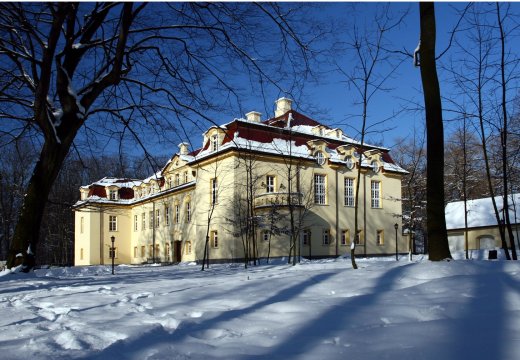 Pałac Izbicko 