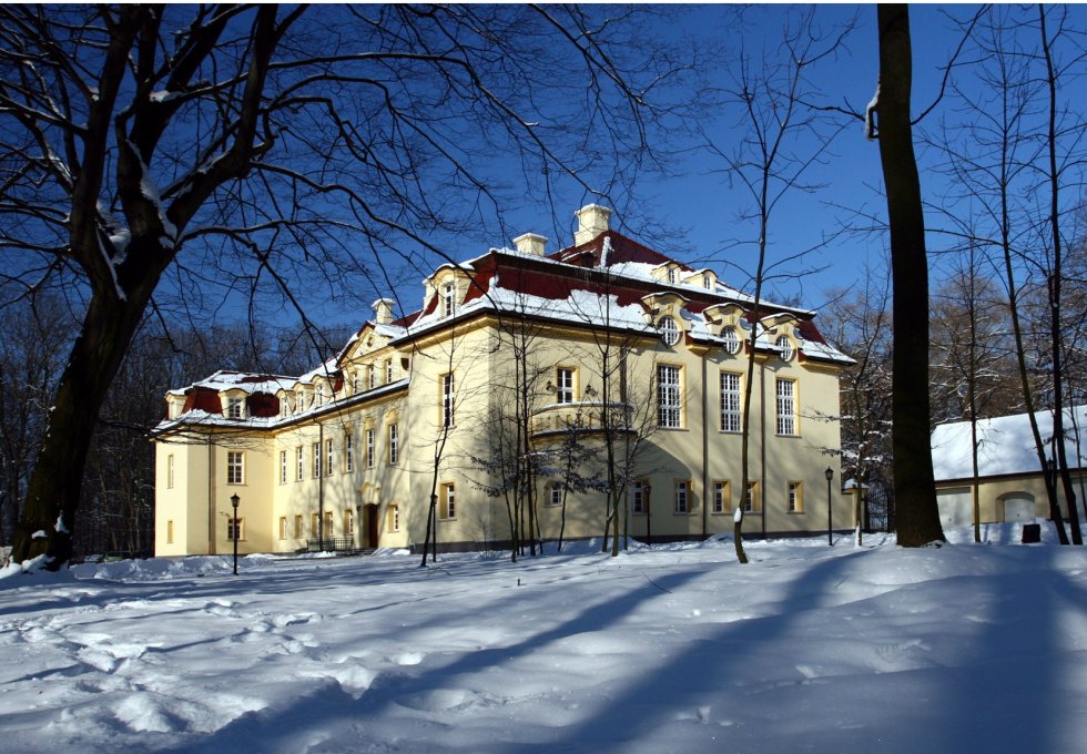 pałac - Pałac Izbicko