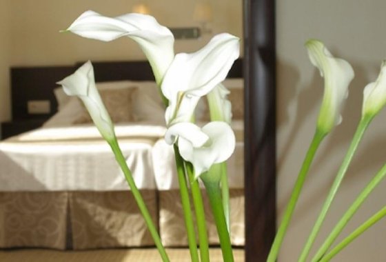 hotel *** - Iness Hotel - Pokoje - zdjęcie 2