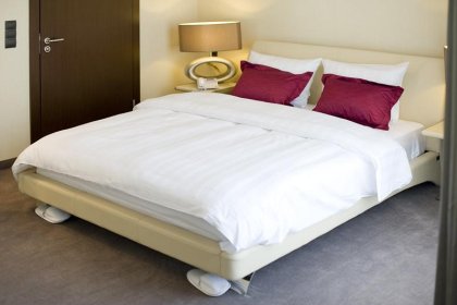 hotel *** - Hotel Symfonia - zdjęcie 4