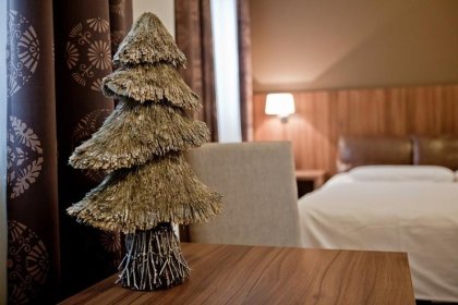 hotel - Zawrat Ski Resort & SPA - zdjęcie 23