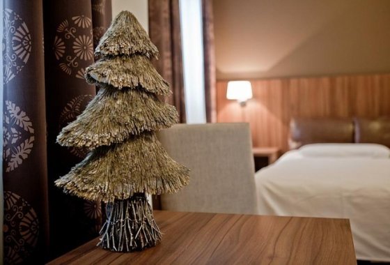 hotel - Zawrat Ski Resort & SPA - Pokoje - zdjęcie 1