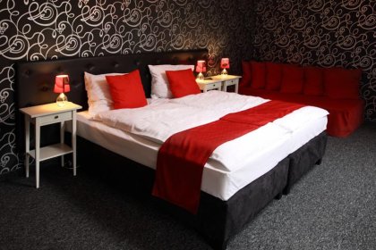 hotel *** - Pałac Piorunów & SPA - zdjęcie 8