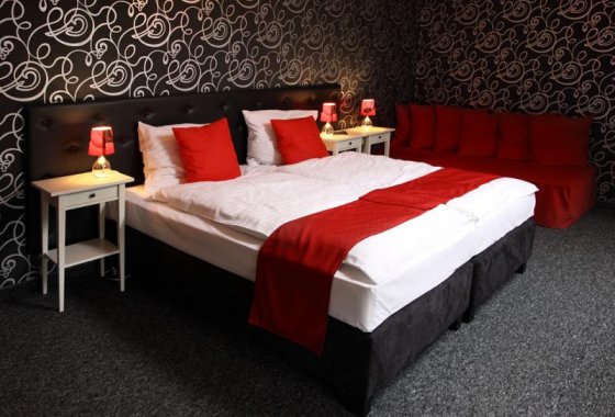 hotel *** - Pałac Piorunów & SPA - Pokoje - zdjęcie 3