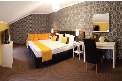 hotel *** - Pałac Piorunów & SPA - zdjęcie 10