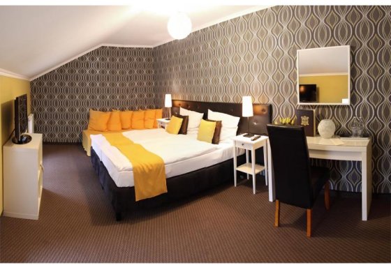 hotel *** - Pałac Piorunów & SPA - Pokoje - zdjęcie 1