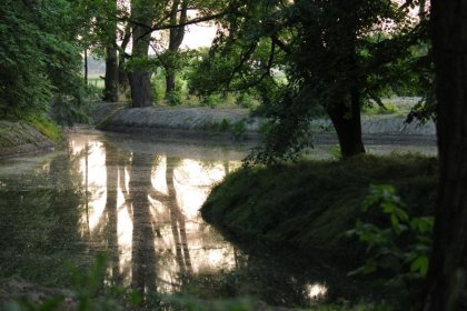 pałac - Pałac Zdunowo - zdjęcie 5