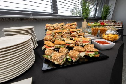 hotel *** - Hotel Śląsk*** - zdjęcie 20