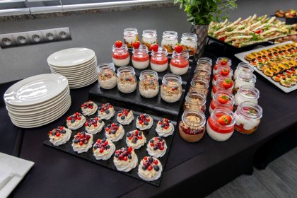 hotel *** - Hotel Śląsk*** - zdjęcie 19