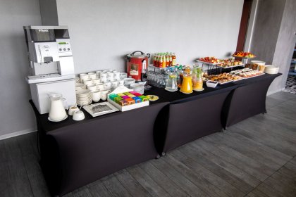 hotel *** - Hotel Śląsk*** - zdjęcie 16