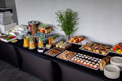 hotel *** - Hotel Śląsk*** - zdjęcie 7