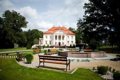 pałac - Pałac Tłokinia - zdjęcie 7