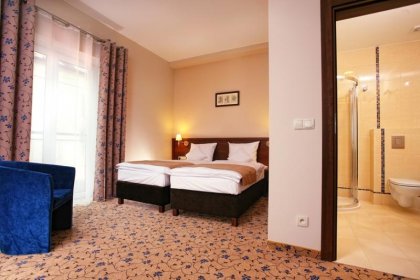 hotel **** - Dosłońce Resort Wellness & Farm - zdjęcie 11