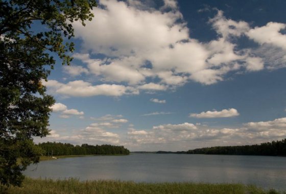 hotel *** - Hotel nad Wigrami - Usługi - zdjęcie 4