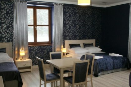 hotel *** - Hotel Barczyzna - zdjęcie 9