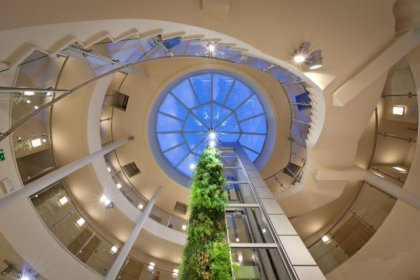 hotel *** - Hotel Święcice - zdjęcie 2